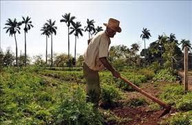 El Ayuntamiento Municipal de Las Guáranas, junto al alcalde municipal, conmemoró este 15 de mayo el Día del Agricultor Dominicano, reconociendo la dedicación, esfuerzo y compromiso de todos los hombres y mujeres del campo que contribuyen al desarrollo agrícola y económico del municipio y de toda la nación.